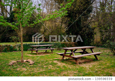 Outdoors picnic area wooden table 139596559
