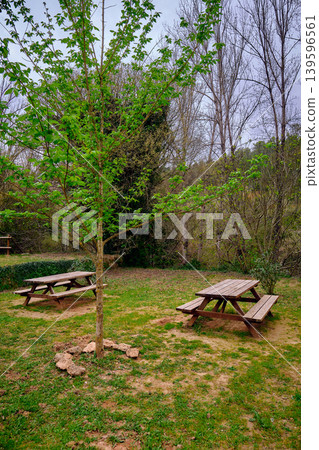 Outdoors picnic area wooden table 139596561