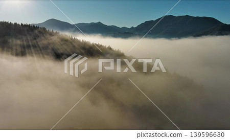 Sun rays shining through foggy forest in mountains Sun rays shining through foggy forest in mountains 139596680