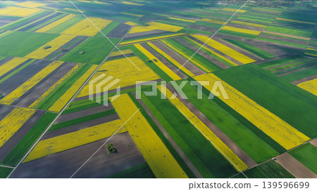 Agricultural fields with yellow rapeseed oil crops Agricultural fields with yellow rapeseed oil crops 139596699