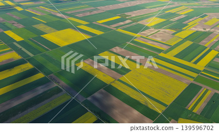 Agricultural fields with yellow rapeseed oil crops Agricultural fields with yellow rapeseed oil crops 139596702