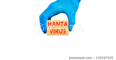 Hantavirus medical words symbol. Concept words Hantavirus on beautiful wooden blocks. Beautiful white background. Doctor hand. Blue glove. Medical Hantavirus concept. Copy space. Hantavirus medical words symbol. Concept words Hantavirus on beautiful wooden blocks. Beautiful white background. Doctor hand. Blue glove. Medical Hantavirus concept. Copy space. 139597205