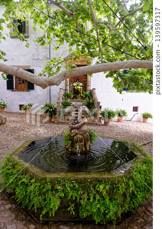 Jardins d'Alfabia - Majorca - Spain 139597317