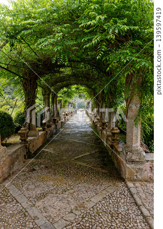 Jardins d'Alfabia - Majorca - Spain 139597419