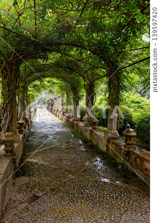 Jardins d'Alfabia - Majorca - Spain 139597420