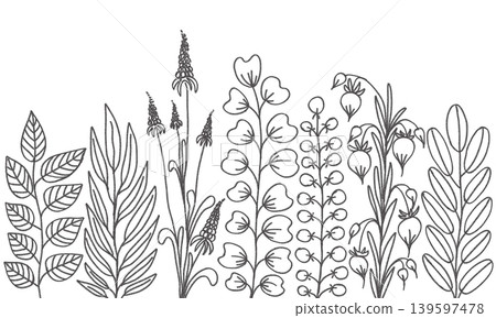 Botanical Line Art Set Botanical Line Art Set 139597478