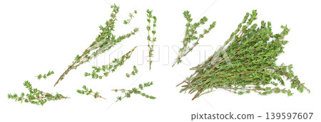 fresh thyme isolated on a white background with full depth of field, Top view with copy space for your text. Flat lay fresh thyme isolated on a white background with full depth of field, Top view with copy space for your text. Flat lay 139597607