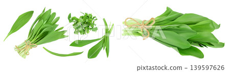 Ramson leaves isolated on white background with full depth of field, Top view with copy space for your text. Flat lay Ramson leaves isolated on white background with full depth of field, Top view with copy space for your text. Flat lay 139597626