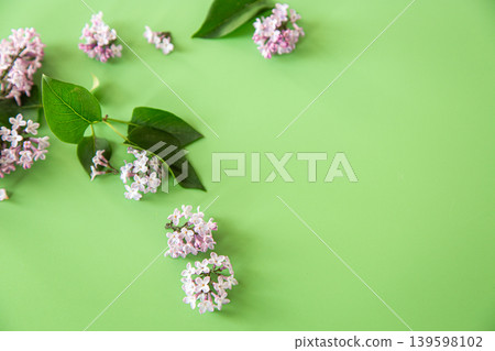 Pink lilac blossoms scattered across vibrant green background Pink lilac blossoms scattered across vibrant green background 139598102