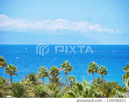 Tropical Palm Trees and Blue Ocean Paradise Coastline Panorama on Tenerife with La Gomera Island on the Horizon 139598851