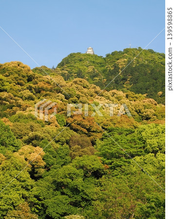金開山和岐阜城堡，樹木盛開 139598865