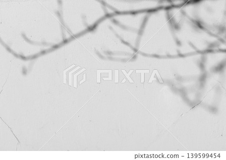 Soft, blurred shadows of bare tree branches cast across a textured white wall Soft, blurred shadows of bare tree branches cast across a textured white wall 139599454
