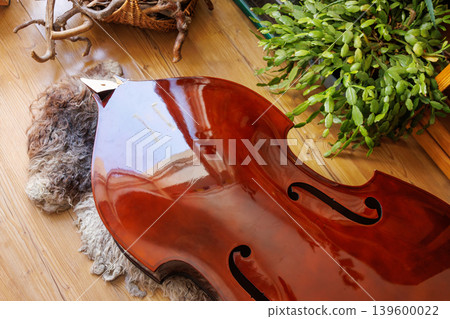 Close up of a damaged contrabass body with broken neck lying on the floor 139600022