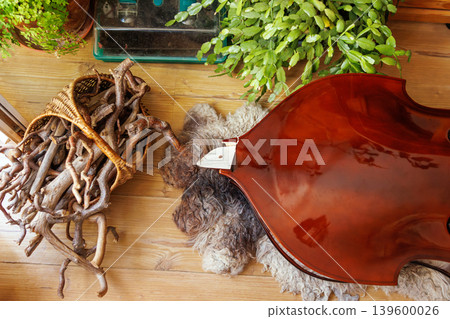 Broken contrabass neck joint lying on wooden floor with potted plant nearby. Top view, copy space 139600026