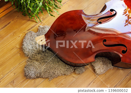 Broken contrabass neck joint lying on wooden floor with wool fleece rug. Top view, copy space 139600032