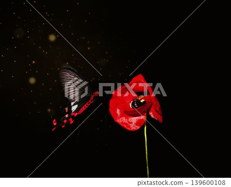 Red poppy and butterfly on black background. Desktop wallpaper Red poppy and butterfly on black background. Desktop wallpaper 139600108