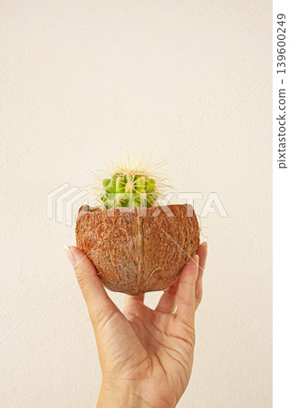 Hand with Prickly Cactus in a Small Coconut Pot Hand with Prickly Cactus in a Small Coconut Pot 139600249