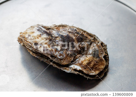 Oyster Oyster 139600809