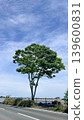 A simple rural landscape with a summer sky and a single tree; background material for travel and regional PR. 139600831