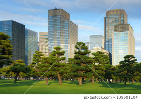 Tokyo, Japan - Oct 01 2024, panoramic view of a park with Japanese black pine trees and glass skyscrapers and a cloudy sky in the background, in the Chiyoda district, without people, Tokyo, Japan Tokyo, Japan - Oct 01 2024, panoramic view of a park with Japanese black pine trees and glass skyscrapers and a cloudy sky in the background, in the Chiyoda district, without people, Tokyo, Japan 139601104