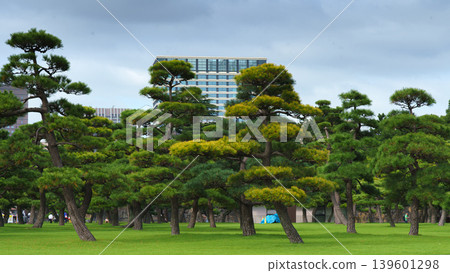 Tokyo, Japan - Oct 01 2024, panoramic view of a park with Japanese black pine trees and glass skyscrapers and a cloudy sky in the background, in the Chiyoda district, without people, Tokyo, Japan 139601298