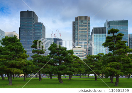 Tokyo, Japan - Oct 01 2024, panoramic view of a park with Japanese black pine trees and glass skyscrapers and a cloudy sky in the background, in the Chiyoda district, without people, Tokyo, Japan Tokyo, Japan - Oct 01 2024, panoramic view of a park with Japanese black pine trees and glass skyscrapers and a cloudy sky in the background, in the Chiyoda district, without people, Tokyo, Japan 139601299