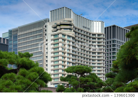 Tokyo, Japan - Oct 1 2024, panoramic view of skyscrapers of Chiyoda district, with trees in the eastern gardens of the Tokyo Imperial Palace in the foreground, at daytime, with blue sky, Tokyo, Japan 139601300