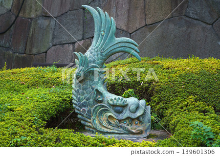 Tokyo, Japan - Oct 1 2024, close-up view of a bronze sculpture of the mythical creature shachihoko, placed among bushes near a stone wall on the grounds of the Tokyo Imperial Palace, Tokyo, Japan  139601306