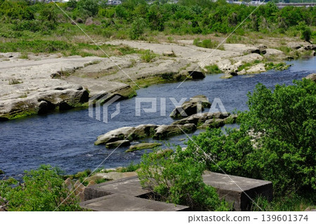 玉川牛群地形景觀 玉川牛群地形景觀 139601374