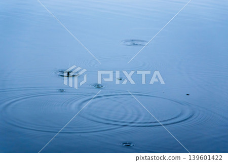 春日水邊:雨滴落在水面泛起漣漪 03 春日水邊:雨滴落在水面泛起漣漪 03 139601422