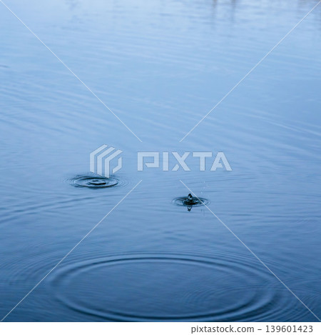 春日水邊:雨滴落在水面上泛起漣漪 04 春日水邊:雨滴落在水面上泛起漣漪 04 139601423