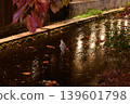 Duck floating in the river 139601798