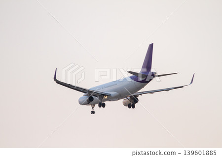 Modern commercial airplane seen from behind during final descent with landing gear lowered against a soft pastel evening sky. Modern commercial airplane seen from behind during final descent with landing gear lowered against a soft pastel evening sky. 139601885