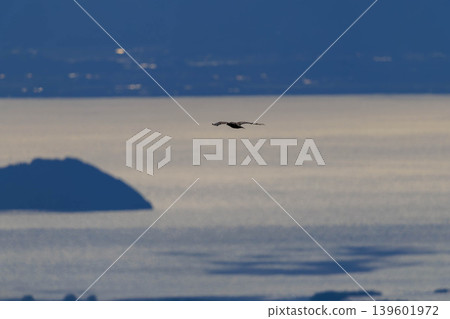 Lake and Golden Eagle Lake and Golden Eagle 139601972