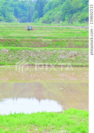 Terraced rice fields at the foot of Toma Plateau: A scene of rice planting in a valley surrounded by fresh greenery, Tokamachi City, Niigata Prefecture Terraced rice fields at the foot of Toma Plateau: A scene of rice planting in a valley surrounded by fresh greenery, Tokamachi City, Niigata Prefecture 139602515