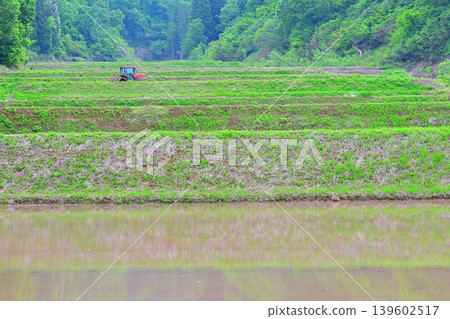 Terraced rice fields at the foot of Toma Plateau: A scene of rice planting in the fresh green of spring, Tokamachi City, Niigata Prefecture Terraced rice fields at the foot of Toma Plateau: A scene of rice planting in the fresh green of spring, Tokamachi City, Niigata Prefecture 139602517