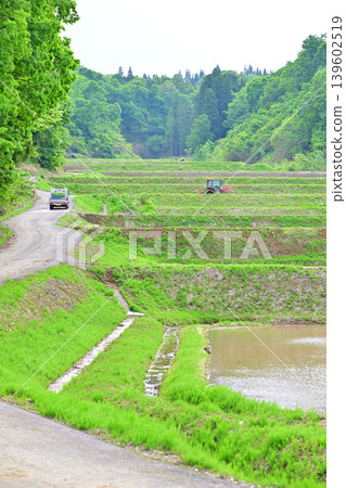 位於多馬高原腳下的梯田:新潟縣十日町市,山谷中稻田綠意盎然,稻田正在種植。 位於多馬高原腳下的梯田:新潟縣十日町市,山谷中稻田綠意盎然,稻田正在種植。 139602519