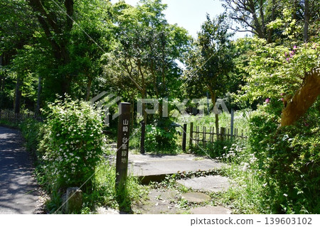 鎌倉市:山崎/大船綠地標誌牌、北大路魯山人的故居和新鮮綠植 鎌倉市:山崎/大船綠地標誌牌、北大路魯山人的故居和新鮮綠植 139603102