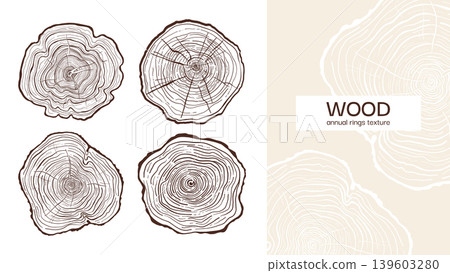 Hand drawn tree ring pattern abstract line art set wood cross section textures annual rings slices 139603280