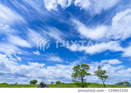 Spring blue sky, clouds, and grassland Spring blue sky, clouds, and grassland 139603300