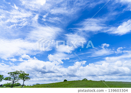 Spring blue sky, clouds, and grassland Spring blue sky, clouds, and grassland 139603304