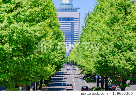 Sendai, Atago-Kamisugi Street, fresh greenery Sendai, Atago-Kamisugi Street, fresh greenery 139603360