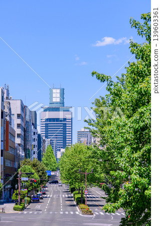 仙台，愛宕上杉大街，清新綠意 139603361