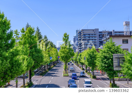 仙台，愛宕上杉大街，清新綠意 139603362
