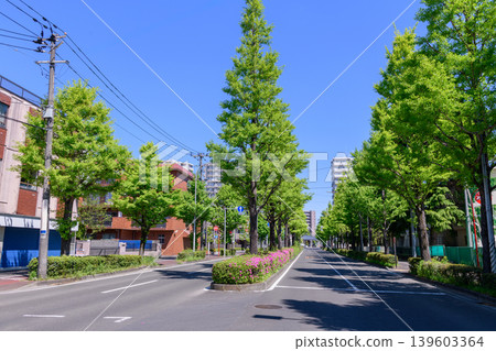 仙台,愛宕上杉大街,清新綠意 仙台,愛宕上杉大街,清新綠意 139603364