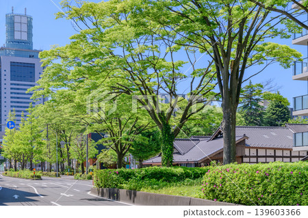 仙台，愛宕上杉大街，清新綠意 139603366