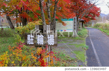 The "Hiruzen Highlands Cycling Path," a well-maintained cycling path in the Hiruzen Highlands, and a corner of the bicycle parking area surrounded by maple trees. 139603497