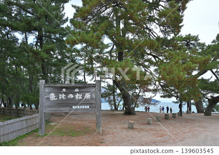 氣比之松原(福井縣敦賀市松島町) 氣比之松原(福井縣敦賀市松島町) 139603545