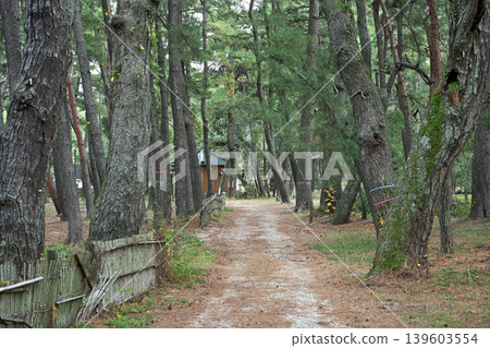 氣比之松原（福井縣敦賀市松島町） 139603554