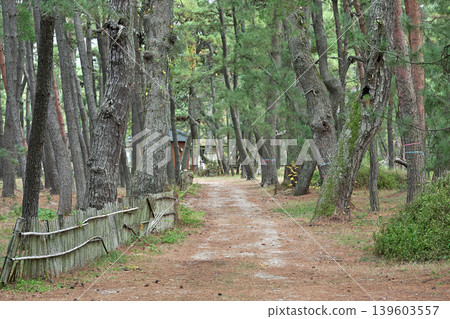 氣比之松原(福井縣敦賀市松島町) 氣比之松原(福井縣敦賀市松島町) 139603557